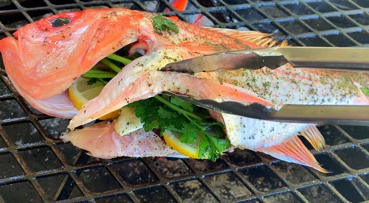Cooking Fish on the BBQ