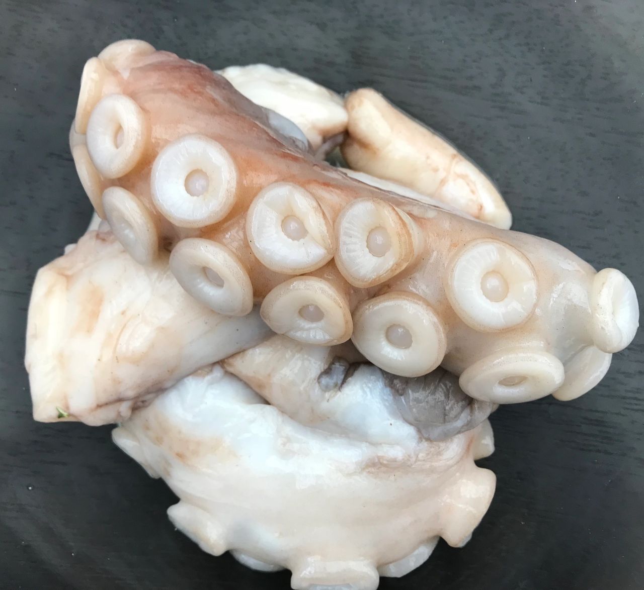 pickled octopus 01